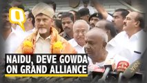 Chandrababu Naidu, Deve Gowda Speak on Grand Alliance After Karnataka Bypooll Victory