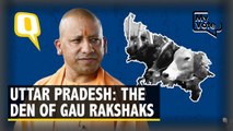 Have Gau Rakshaks in UP Become Stronger Under CM Yogi’s Watch?