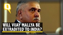 Vijay Mallya Extradition Verdict: What Should We Expect?