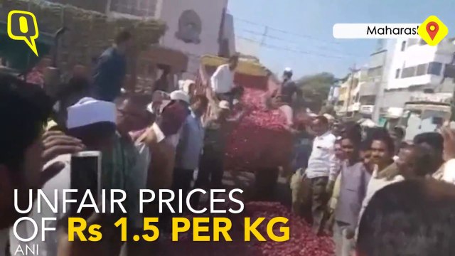 Two Farmers Dump 30 Quintals of Onion on Road to Protest