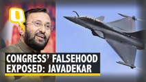 SC Verdict Has Exposed Congress Party's Falsehood: Javadekar