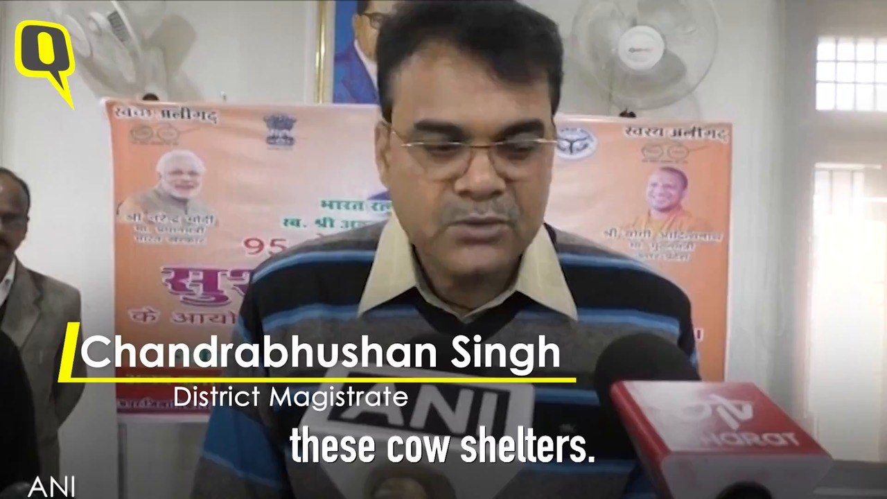 ‘Frustrated’ Farmers Lock Stray Cattle in Schools, Health Centres