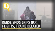 Cold Wave and Smog Grip Delhi-NCR; Several Flights Delayed