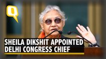 Back in the Game: Sheila Dikshit Appointed Delhi Congress Chief