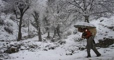 From Kashmir to Manali, North India Covered in a Blanket of Snow