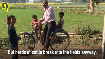 Yogi Ji, How Long Will Gau Raksha Abhiyan Go On At Farmers’ Cost?