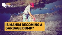 My Report: Citizens Want Authorities to Clean Up Mahim Creek