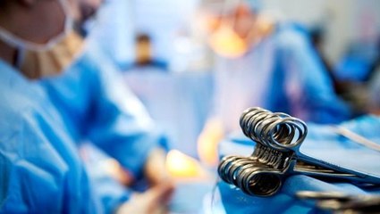 Terence English: Beş yıl içinde domuzdan insana kalp nakli gerçekleştirilebilecek