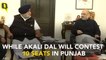 Lok Sabha Polls: SAD to Contest on 10 Seats, BJP on 3 in Punjab