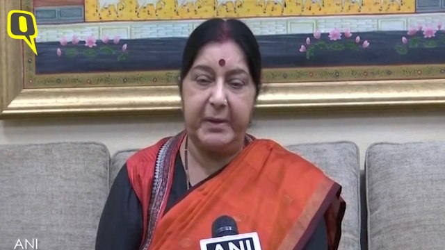 Happy All Political Parties Supported Us: Sushma Swaraj on Surgical Strike 2.0