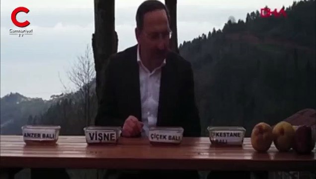 Tesise dadanan ayıların bal testi kamerada