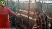 2 Kashmiri Dry Fruit Vendors Attacked By Hindutva Goons in UP