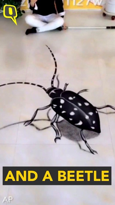 3-D Paintings Or Real Animals?: Watch And Tell