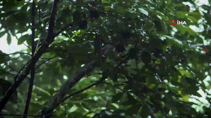 - Hindistan'da 2 Eyaletteki Sel Ve Heyelanlarda 40 Kişi Öldü