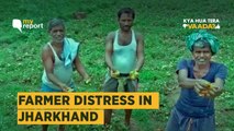 #MyReport: Only Option to Hang Ourselves, Say Jharkhand Farmers on Mounting Debts