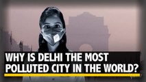 World Environment Day: Why Delhi is the Most Polluted City?