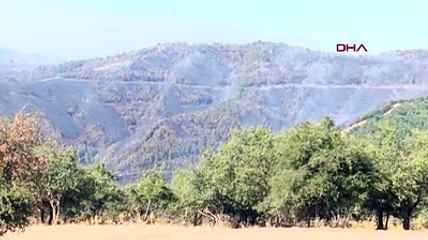 İzmir'deki orman yangınını söndürme çalışmaları sürüyor
