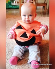 Funniest Baby Wearing Costume - Funny Baby Videos