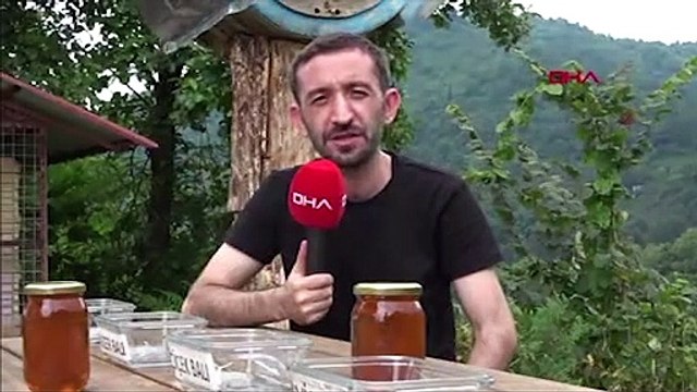 Tesise dadanan ayıların bal testi kamerada