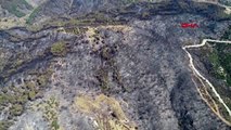 İzmir'deki orman yangınını söndürme çalışmaları sürüyor-2