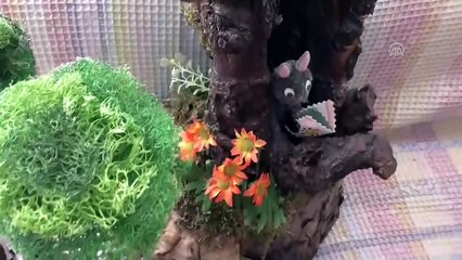 Doğadaki parçaları süs eşyasına dönüştürüyor - KONYA