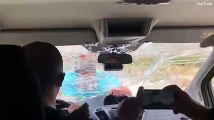 Restaurant owner jumps on tourists car after they criticised him