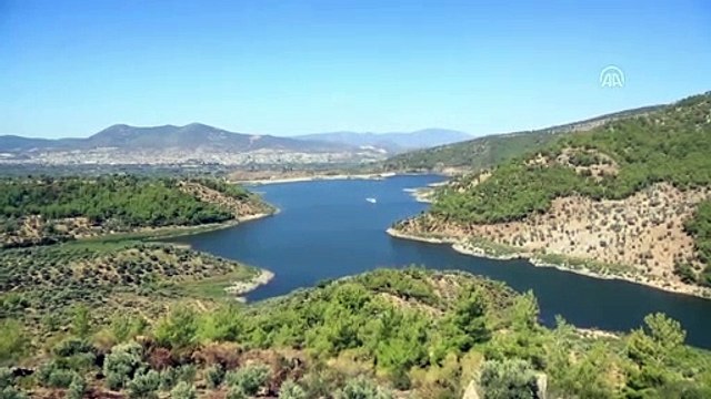 Muğla'daki orman yangını kontrol altında