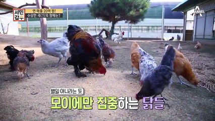 연 매출 20억 원! 수상한 새(?)의 정체는?!