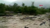 DHA DIŞ- Hindistan'da 5 eyaleti sel vurdu 58 ölü