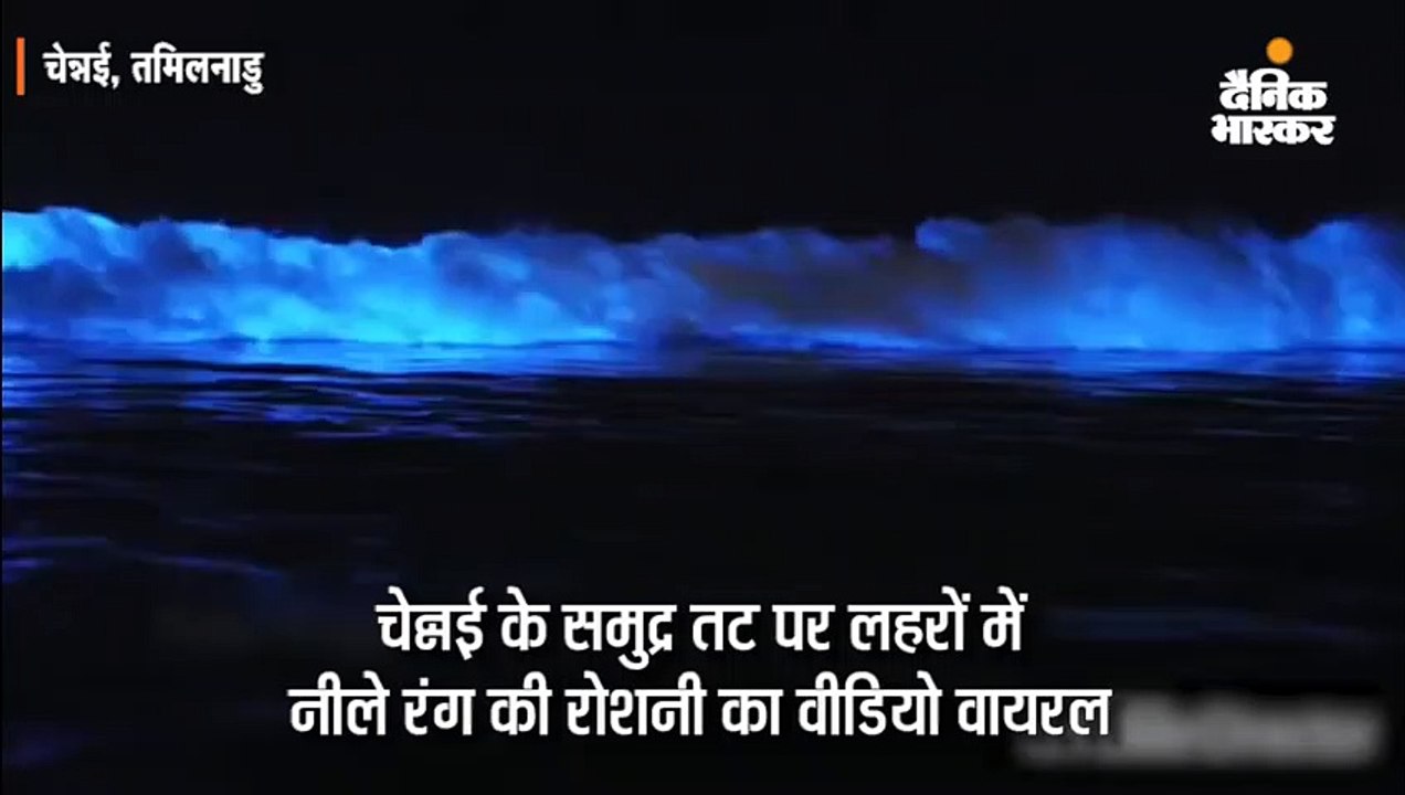 तीन तटों पर समुद्र के पानी में नीली रोशनी वाली...