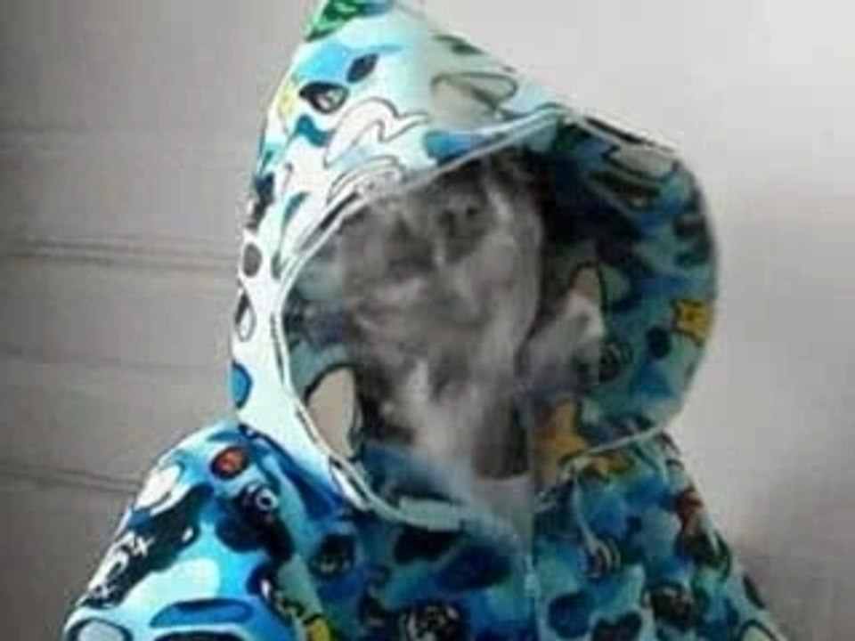 LES GUNS CHANTENT- rimos locos lil wayne crunk rohff booba