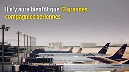 Il n'y aura bientôt que 12 grandes compagnies aériennes