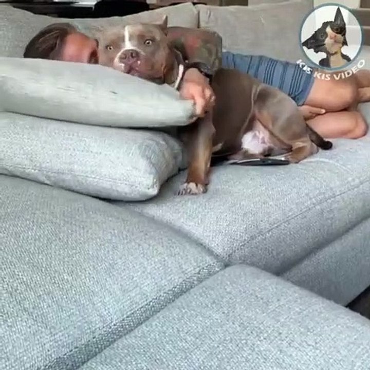 La sieste change d'effet quand c'est avec son chien meilleur ami. Adorable !