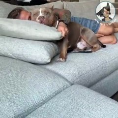 La sieste change d'effet quand c'est avec son chien meilleur ami. Adorable !