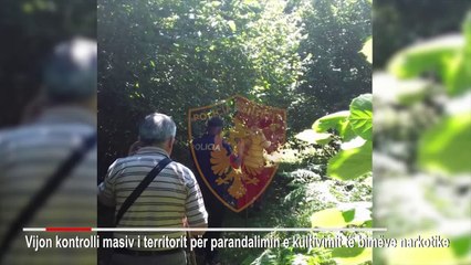 RTV Ora - Policia kontrolle masive, 1600 efektivë në terren për të zbuluar kanabis
