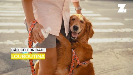 Cão Celebridade: A cadela que ama abraços