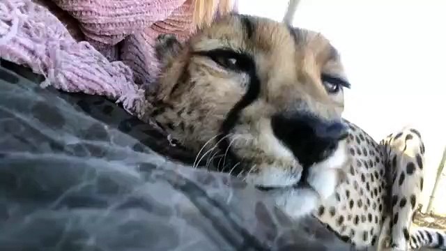 Quand ce pied commence à partir, voici ce que ça donne !