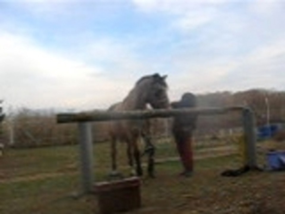 Diva fait la jambette