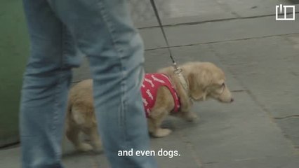 Inside China’s booming streetwear scene