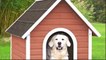 Como fazer uma casinha de papelão para cachorros - PASSO A PASSO
