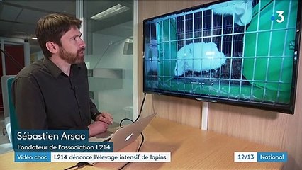 Promiscuité, animaux morts, médicaments... L214 dévoile les conditions d'élevage des lapins