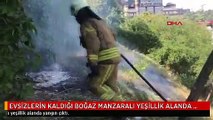 EVSİZLERİN KALDIĞI BOĞAZ MANZARALI YEŞİLLİK ALANDA YANGIN