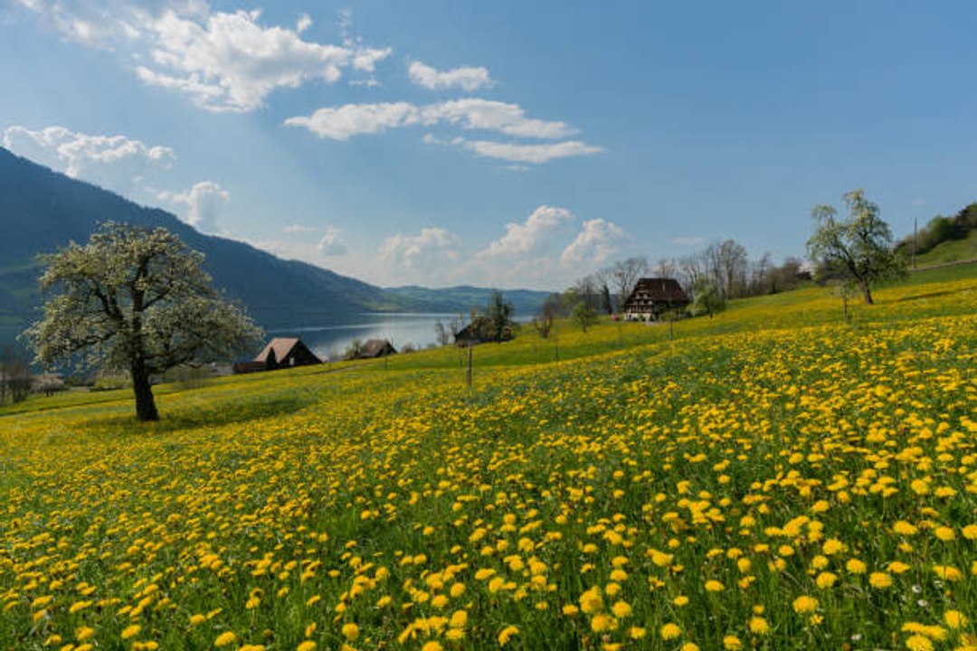 Die Schweiz und seine Regionen: Zentralschweiz