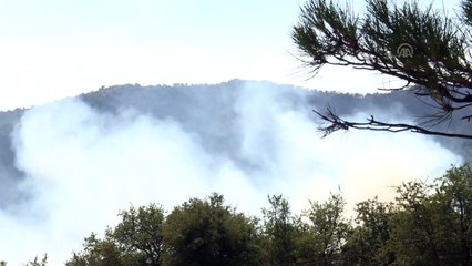 İzmir'deki orman yangınına müdahale sürüyor