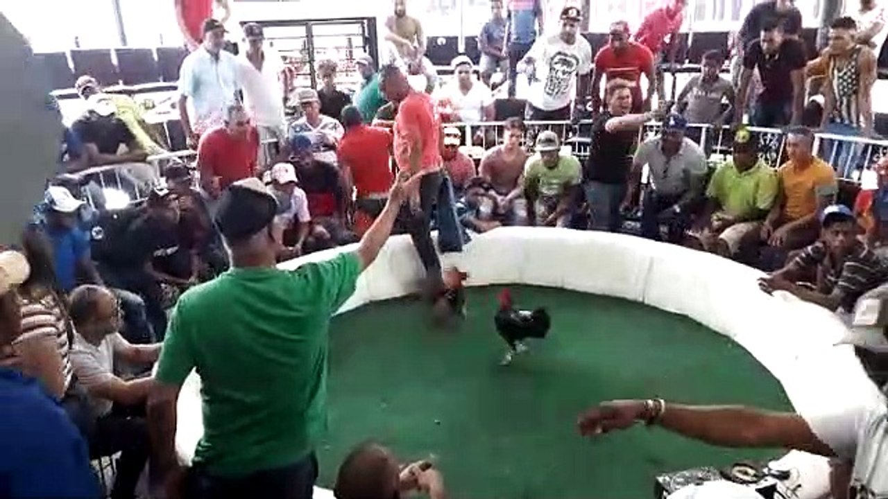 Tba Los Cartuchos (Azul) Vs La Pava (blanco) (La Barra san jose de ocoa)