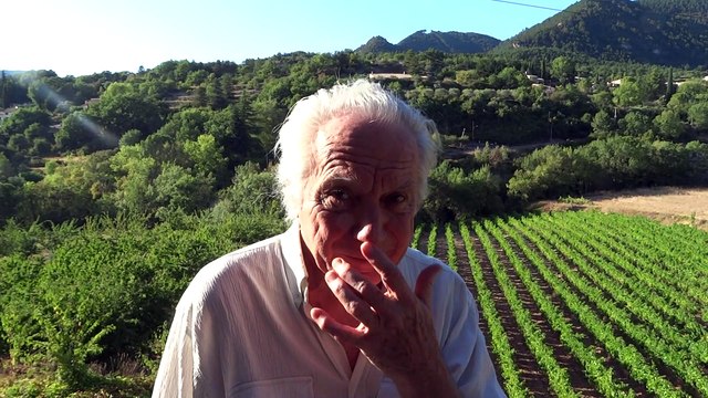 Pedro Soler guitariste de flamenco catalan à Soubès