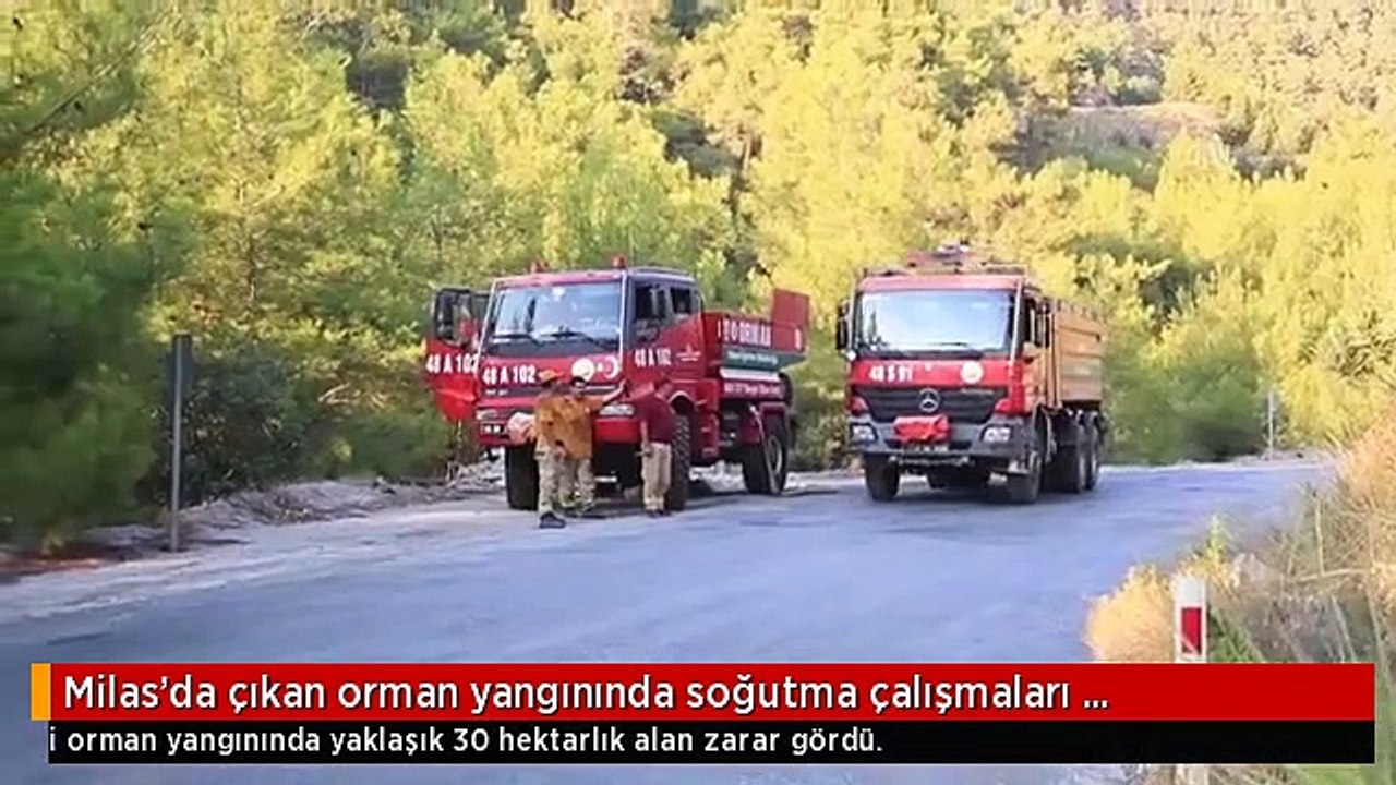 Milas'da çıkan orman yangınında soğutma çalışmaları tamamlandı