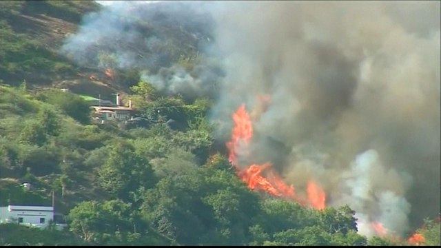 'Out-of-control' Canary Islands wildfire rages as 9,000 evacuated