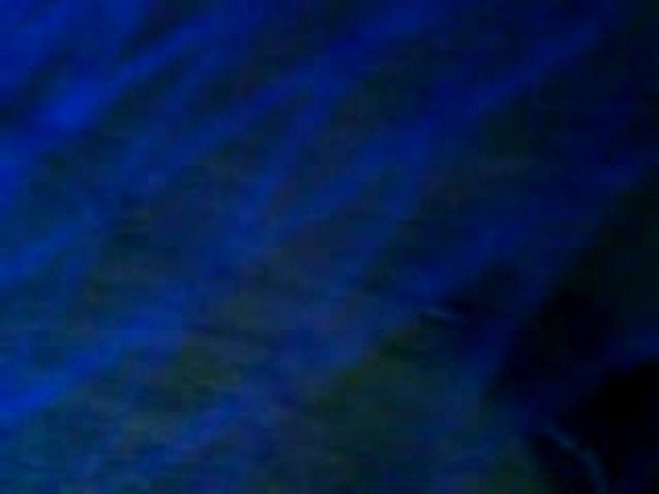 MOV01321