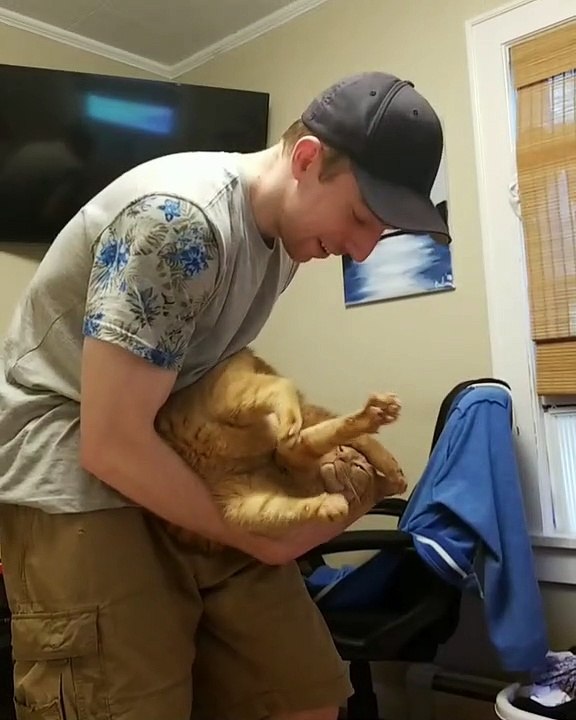 Cat Contorts into Peculiar Position